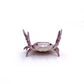 📢🎁Last Day 50% OFF🦀🔥Cute crab-shaped pen holder