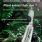 🏆 Last Day Special Price! 🔥Fruit Essence Hair Dyeing Comb🎉