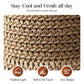 👒LAST DAY SALE ONLY ￡9.99!🌞Elegant Woven Straw Sun Hat with Bow