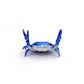 📢🎁Last Day 50% OFF🦀🔥Cute crab-shaped pen holder