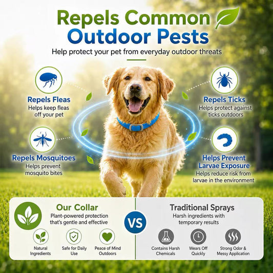 🎉Limited-time✨Free Shipping🐶Natural Essential Oil Pet Pest Repellent Collar💫Hot Sale-60% OFF
