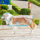 📢New Arrivals 50% OFF🐕 Transparent Waterproof Dog Raincoat – Keep Your Pup Dry & Visible on Rainy Walks 🌧️