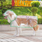 📢New Arrivals 50% OFF🐕 Transparent Waterproof Dog Raincoat – Keep Your Pup Dry & Visible on Rainy Walks 🌧️