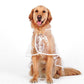 📢New Arrivals 50% OFF🐕 Transparent Waterproof Dog Raincoat – Keep Your Pup Dry & Visible on Rainy Walks 🌧️