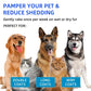 🐶Spring Special 59% OFF🐱Pet Spray Hair Removal Comb