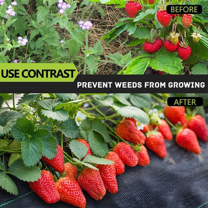 🌿 50% OFF NOW! 🧵 Weed Control Fabric – Blocks Sunlight, Breathable & Perfect for Garden Beds & Pathways 📉