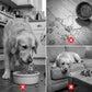 ⏳Limited-time 49% off🐶🦴Roll-N-Lick Dog Bowl: The Ultimate Liquid Treat FeederAnti-gulping bowl for dogs with rolling ball