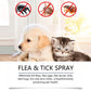 ⏳Limited-Time Offer: Buy 2, Get 1 FREE!✨️🌿The #1 Plant-Based Flea & Tick Spray in the UK 🇬🇧🏆