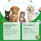⏳Limited-Time Offer: Buy 2, Get 1 FREE!✨️🌿The #1 Plant-Based Flea & Tick Spray in the UK 🇬🇧🏆