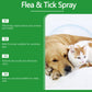 ⏳Limited-Time Offer: Buy 2, Get 1 FREE!✨️🌿The #1 Plant-Based Flea & Tick Spray in the UK 🇬🇧🏆