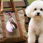 📢📢LAST DAY SALE ONLY￡9.99!!✨50% OFF !! ⏰ 2-in-1 Portable Dog Water Bottle for Small Dogs - Leak-Proof & Compact