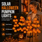 🥳2026 HOT SALE🥳💞50K+ SOLD!🎃🦇 50% OFF!👻Waterproof Halloween Pumpkin Solar Branch Lights