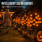🥳2026 HOT SALE🥳💞50K+ SOLD!🎃🦇 50% OFF!👻Waterproof Halloween Pumpkin Solar Branch Lights