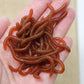 🎉 2026 Sale — Over 25,000 Sold!🎣 Soft Earthworm Lures – Shrimp scent, 100 pack ✨