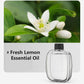 🥳2026 HOT SALE🥳💞50K+ SOLD! 🌸 50% OFF NOW! 💨 Aromatherapy Diffuser – Automatic, soothing & gift-ready ✨
