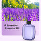 🥳2026 HOT SALE🥳💞50K+ SOLD! 🌸 50% OFF NOW! 💨 Aromatherapy Diffuser – Automatic, soothing & gift-ready ✨
