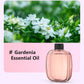 🥳2026 HOT SALE🥳💞50K+ SOLD! 🌸 50% OFF NOW! 💨 Aromatherapy Diffuser – Automatic, soothing & gift-ready ✨